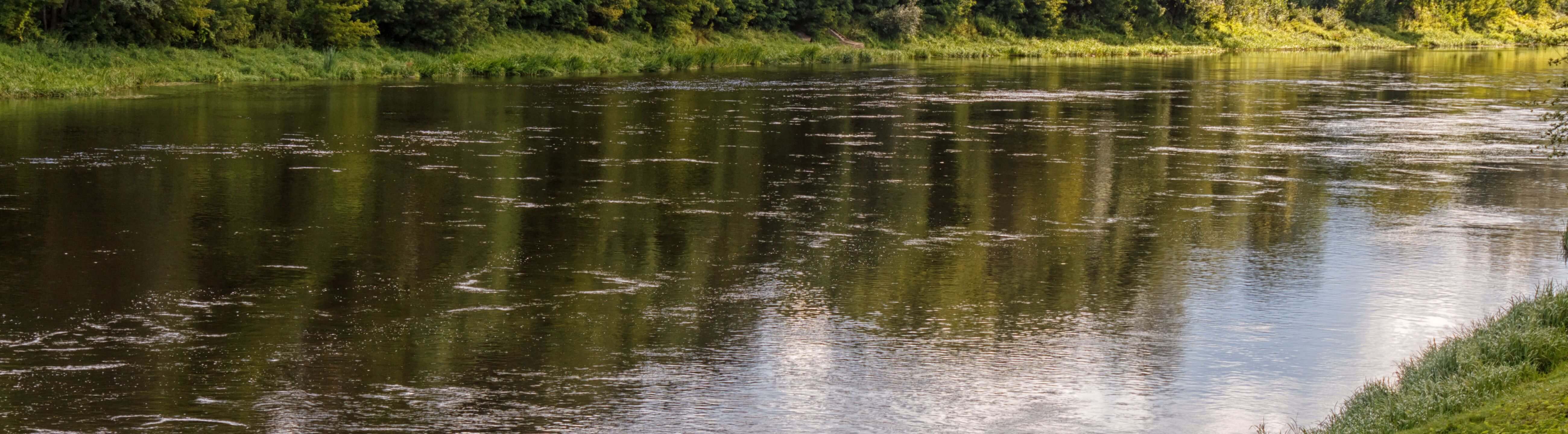 Deadbait Köder-Tuning, Köderfisch Fins, Collection Banner