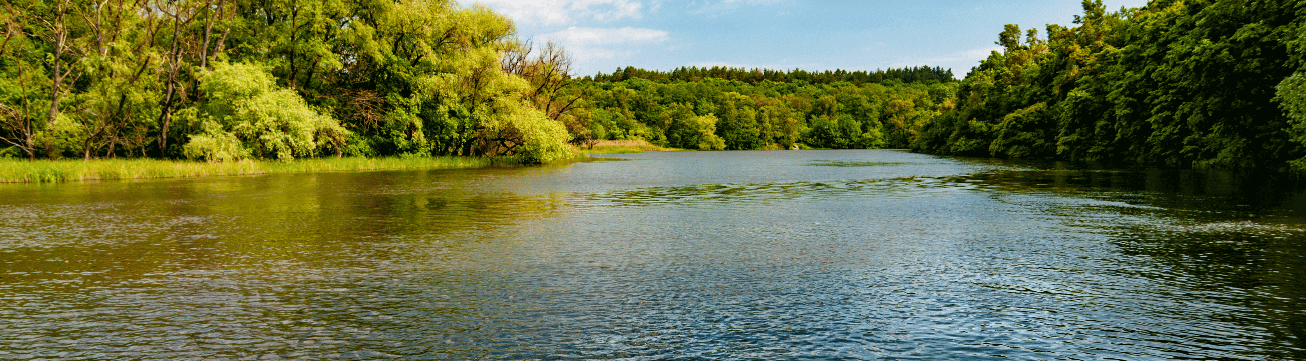 Collection Banner Haken-Hardbait-Einzelhaken1