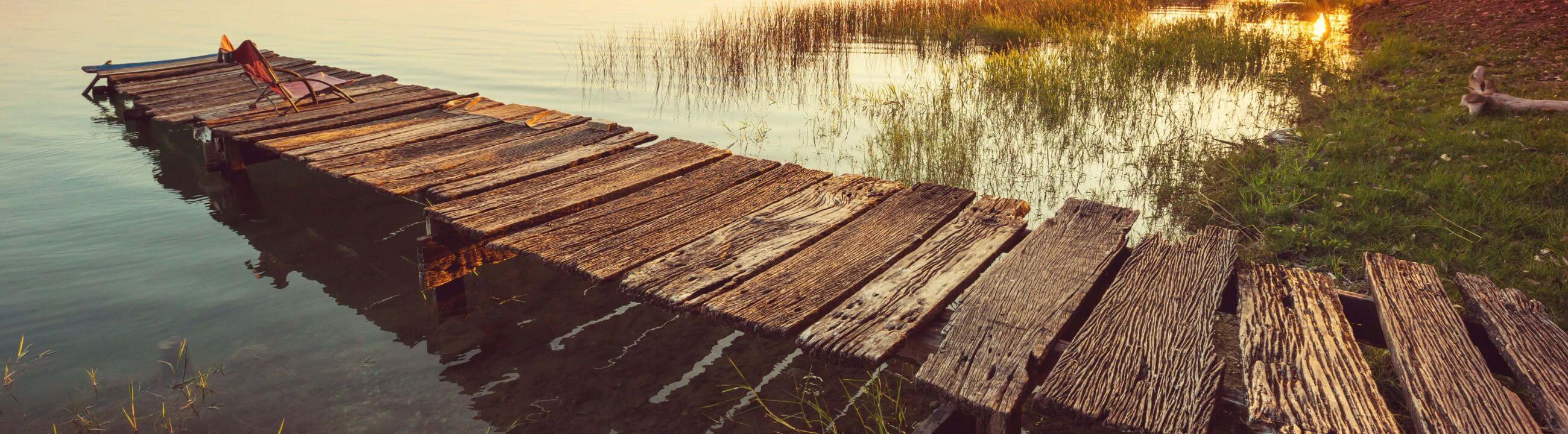 Collection Banner Köderfischruten - Ruten für das Angeln mit Köderfisch