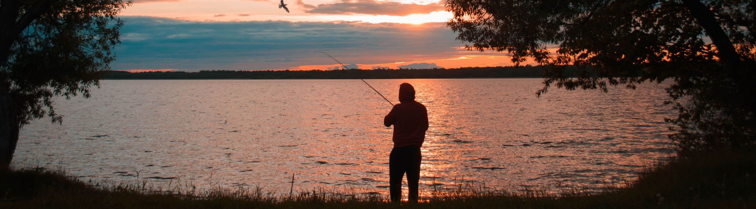 Rapfenruten collection banner