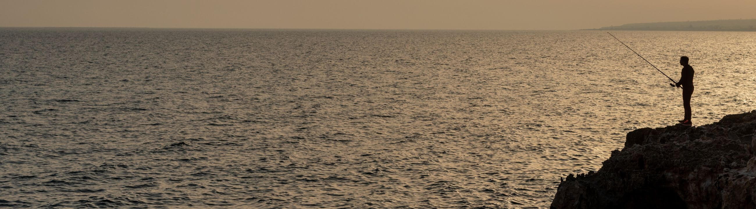 Drop-Shot Angelruten » Top-Auswahl an Ruten für das DropShot-Rig