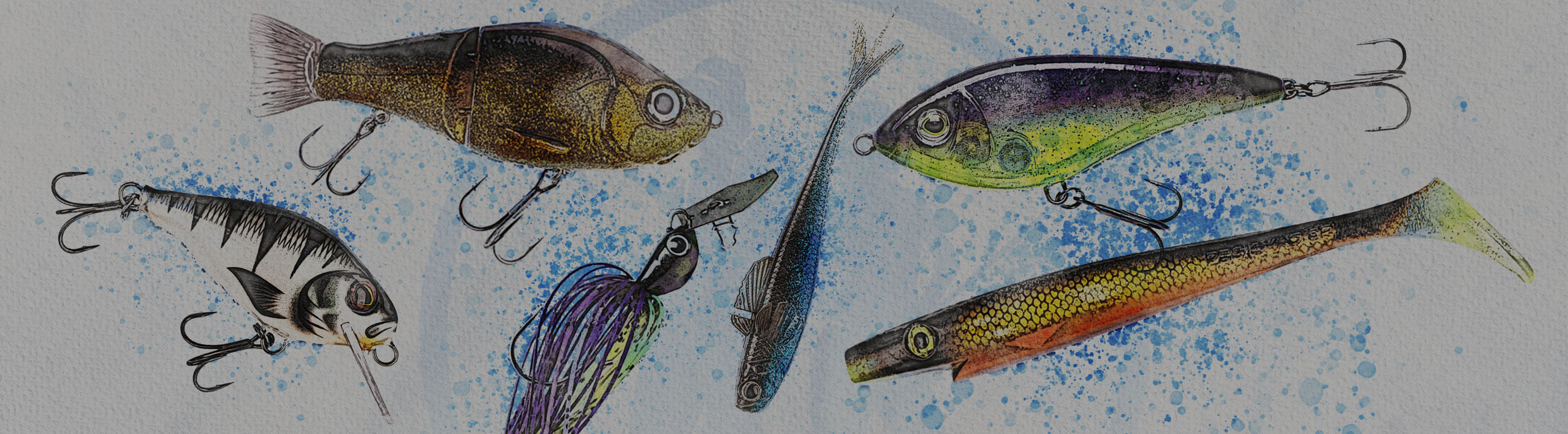 Hecht und Barsch Sonderfarben Collection Banner