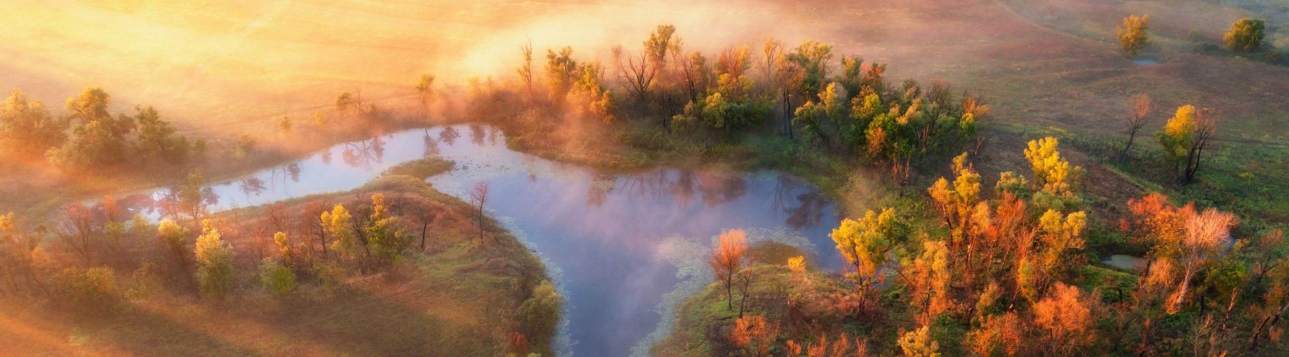 Hearty Rise Ruten » bei HechtundBarsch.ch » Der Angelshop im Internet