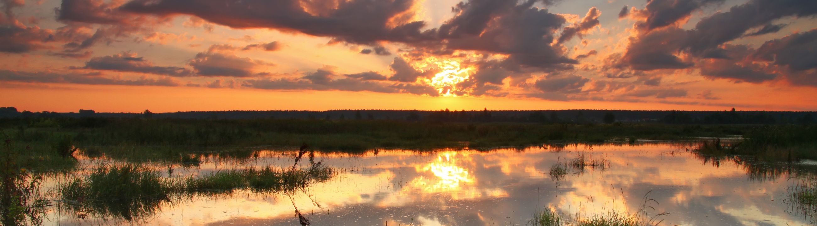 Major Craft Ruten » Premium-Angelruten