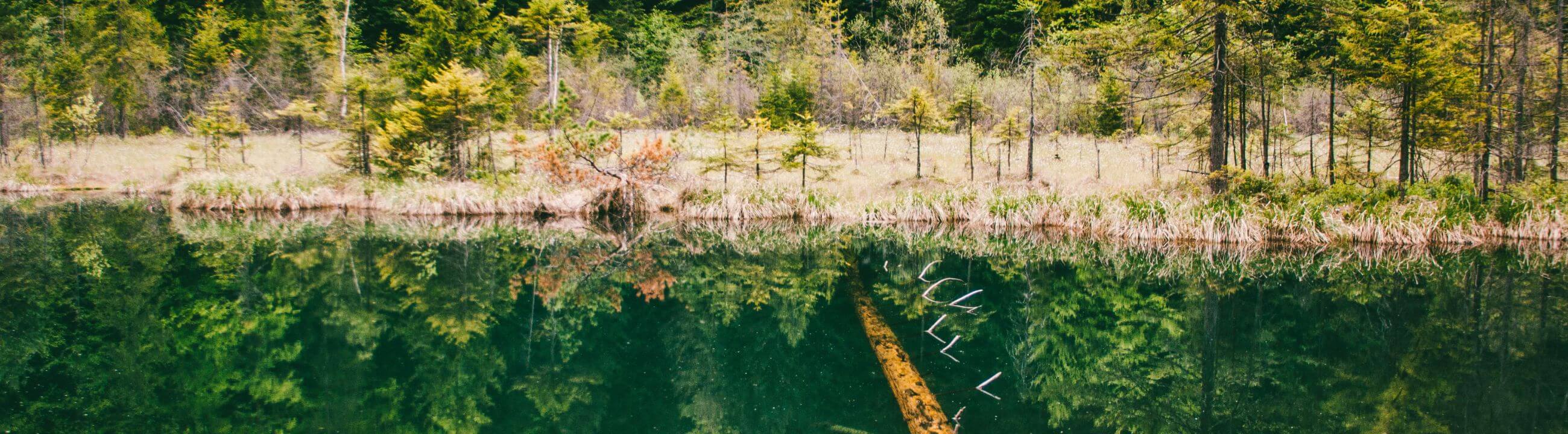 Stinger-Angstdrilling