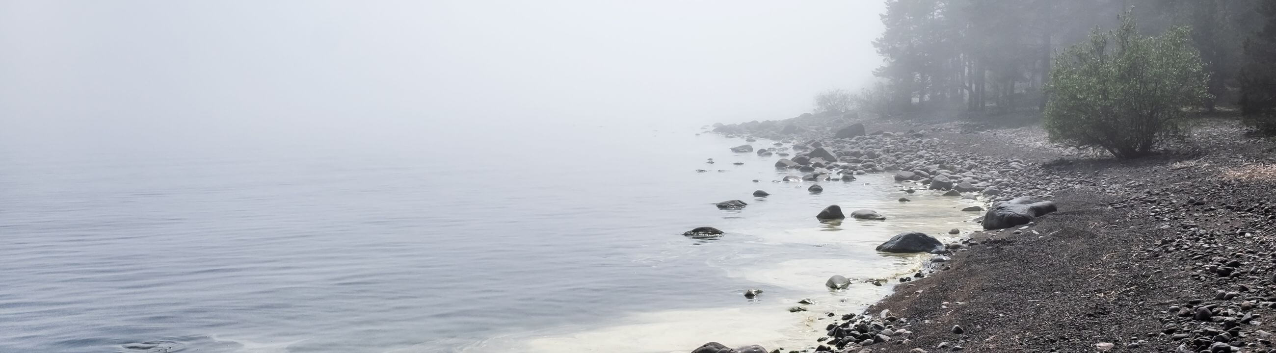 Angelköder (Suspending / Schwebend) | HechtundBarsch.ch (Schweiz)