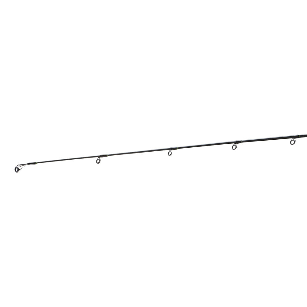 Daiwa 24 Prorex XR Spin 2,25 / 2,40 m 10 - 30 g Spitze