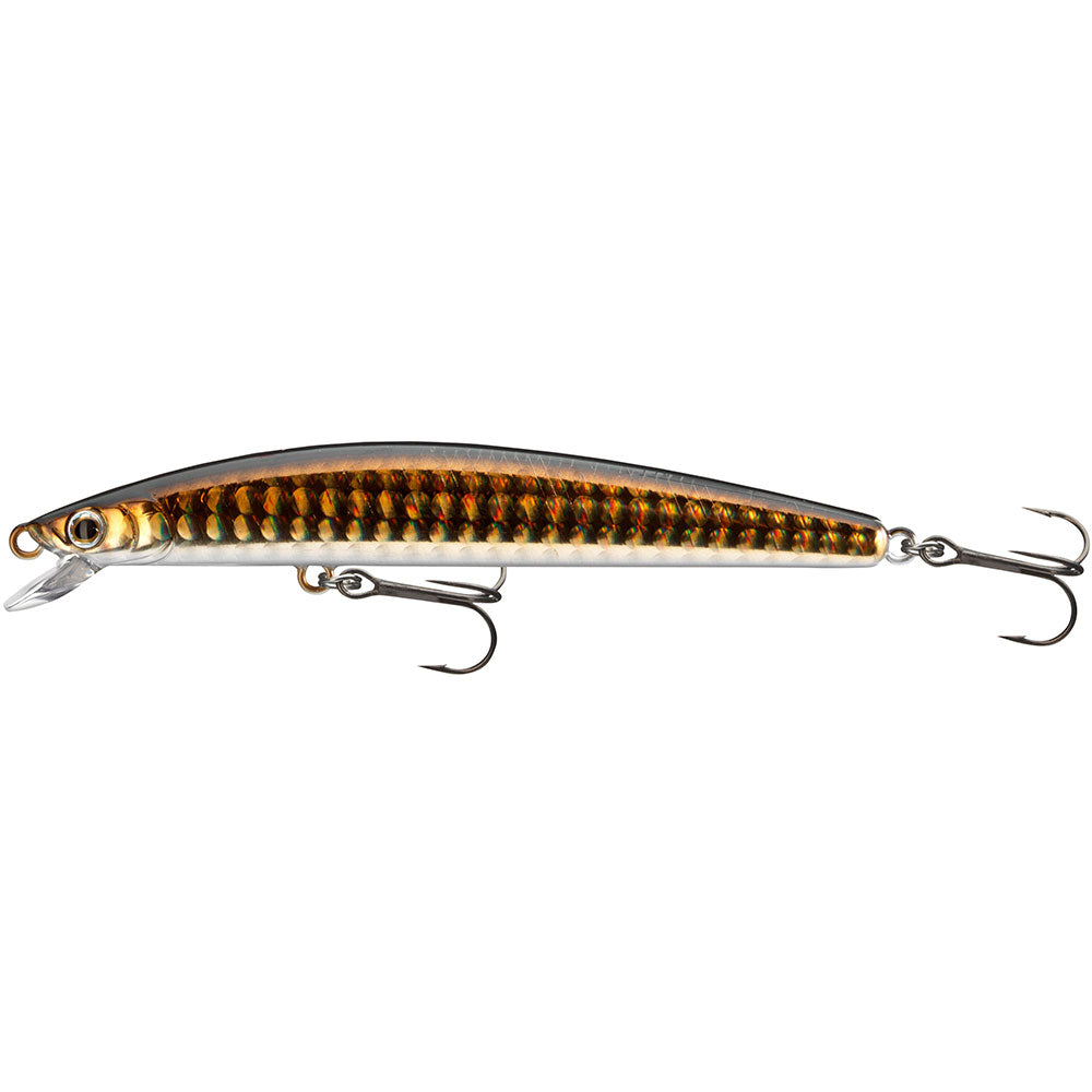Daiwa Tournament TN Minnow 95SP und 120SP Gold Lens