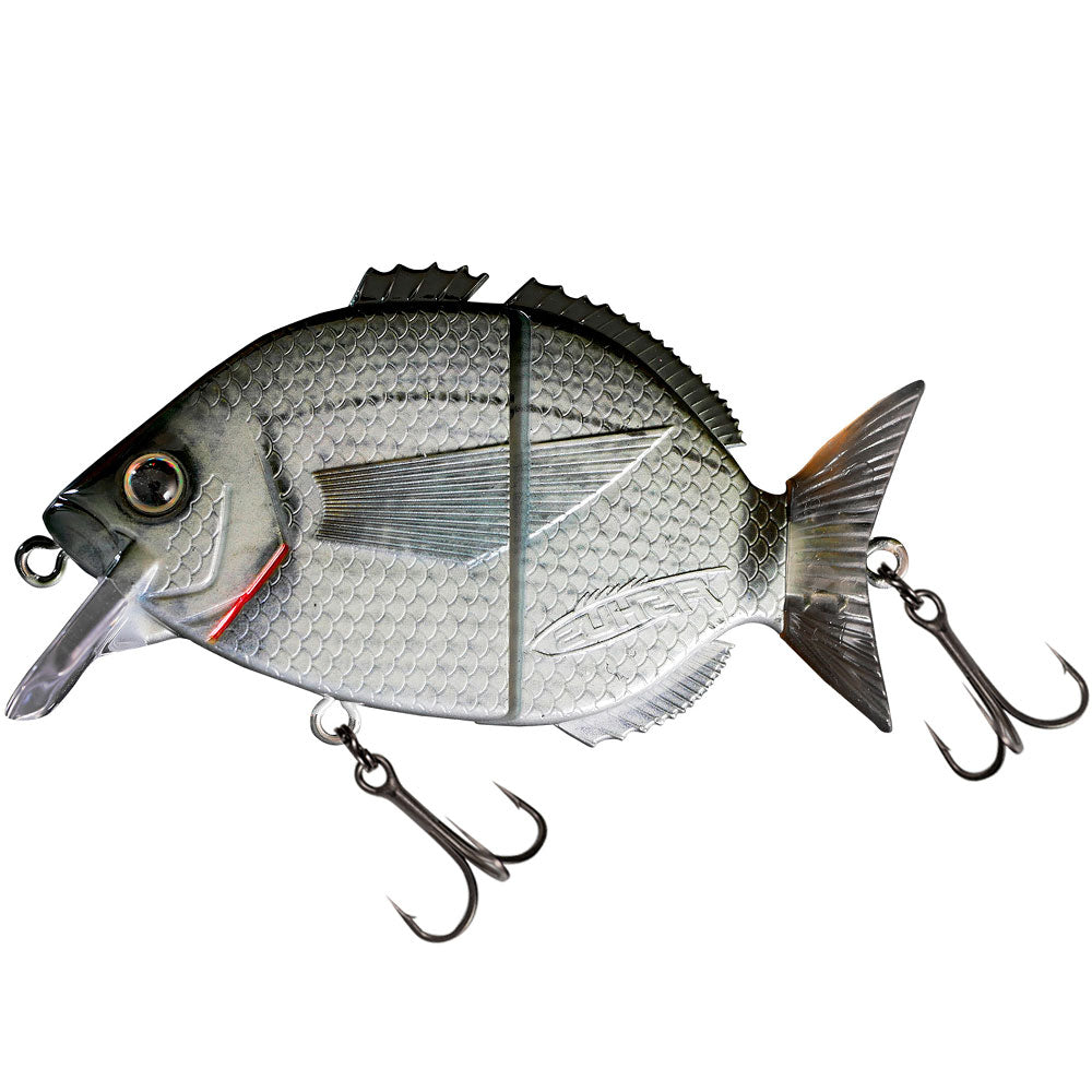 Fishus Esparrall 7,6 cm Saddled Seabream