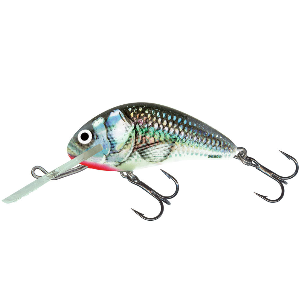 Salmo Hornet 5 cm Sinking Holo Grey Shiner
