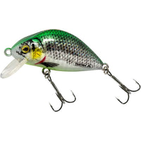 Bewertung von Detlev für das Produkt Kamakura Shiny Whitefish UV