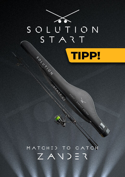 Solution-START-Zander-Promotion-Block