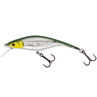 Bewertung von Anonym für das Produkt P10 SR Crankbait 10 cm | 15 g | Floating Headlight