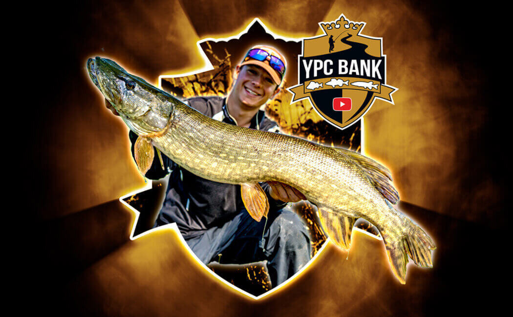 YPC-Bank