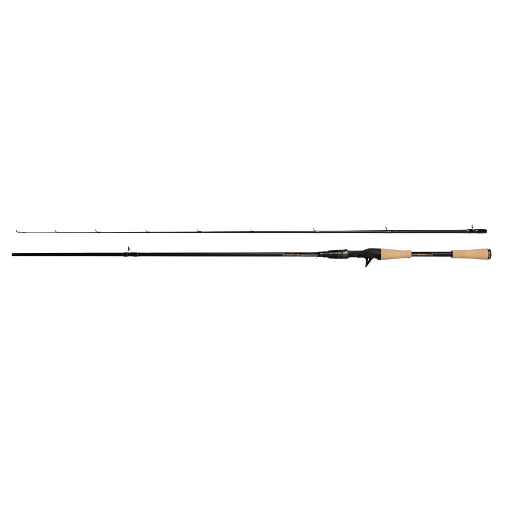 Abu Garcia RockSweeper (Casting) bei HechtundBarsch.ch