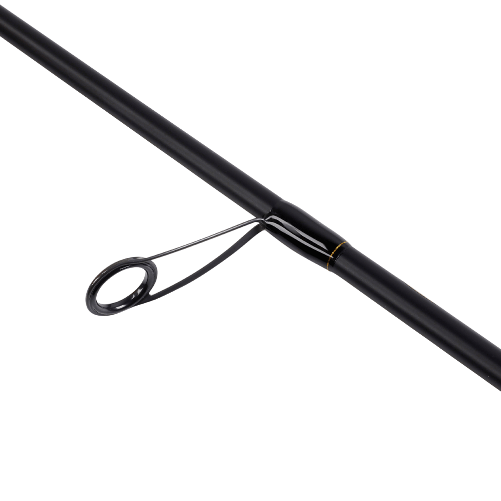 Abu Garcia RockSweeper (Spinning) bei HechtundBarsch.ch