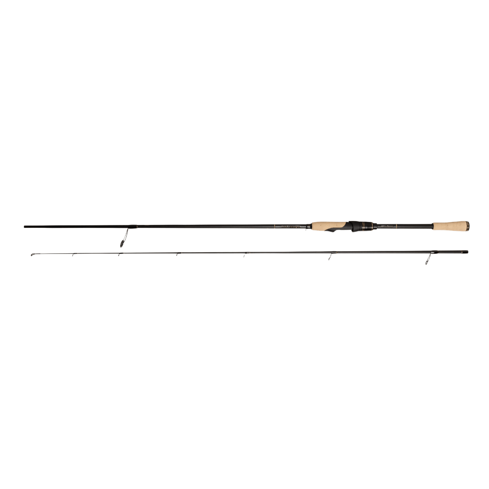 Abu Garcia RockSweeper (Spinning) bei HechtundBarsch.ch