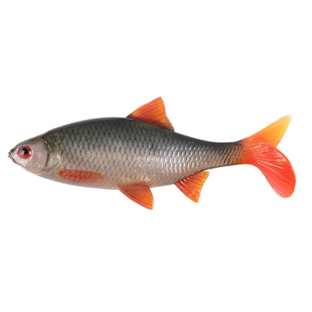 Fox Rage Ultra Realistic Replicant Roach 14 cm / 18 cm