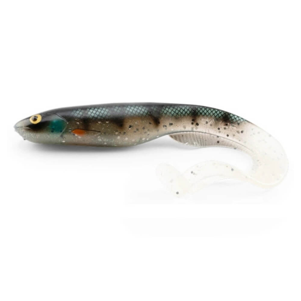Gator Catfish Ghost Perch