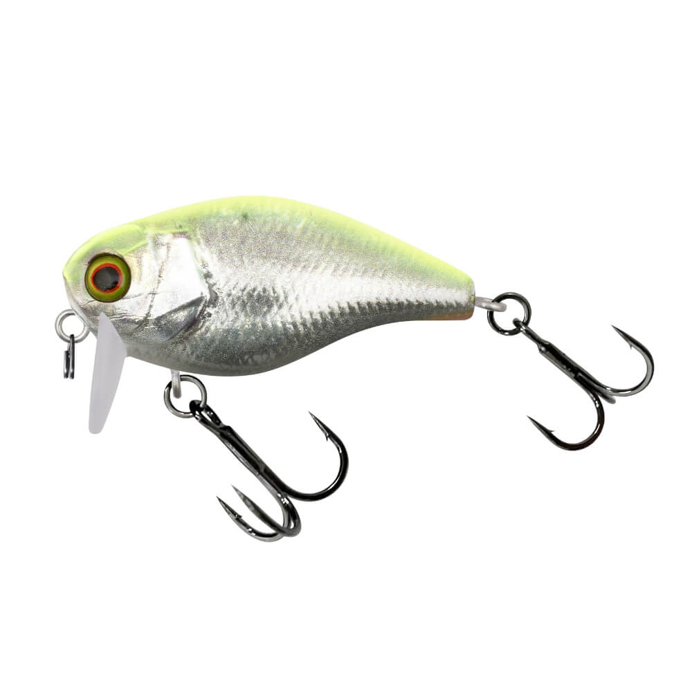 Illex Chubby 41 SSR RT Visible Roach