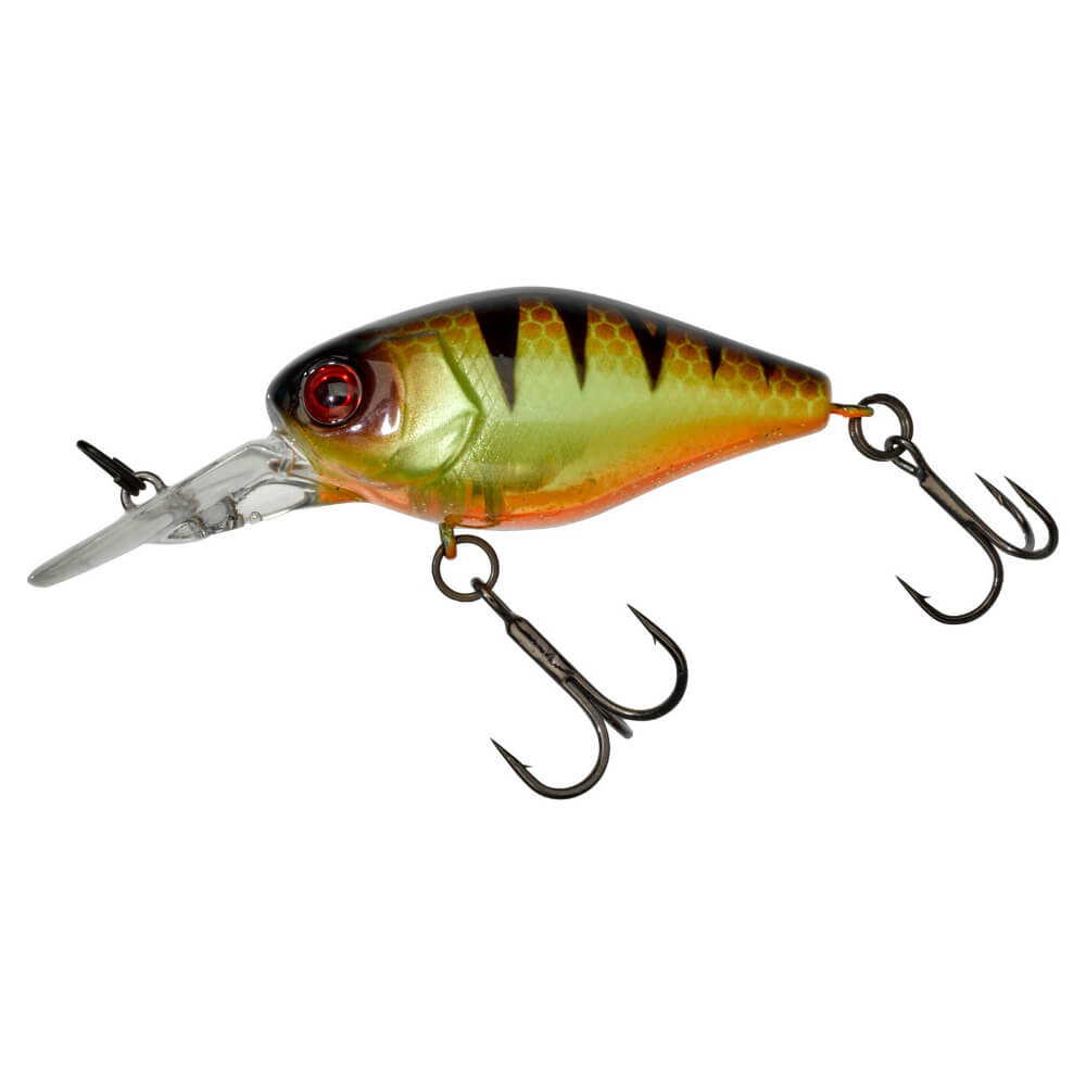 Jackall Chubby 41 MR bei HechtundBarsch.ch