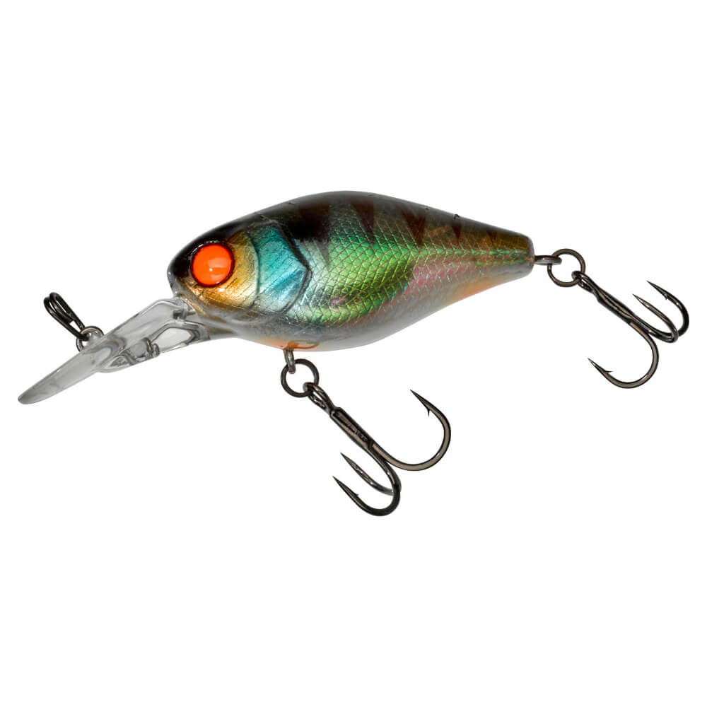 Jackall Chubby 41 MR bei HechtundBarsch.ch