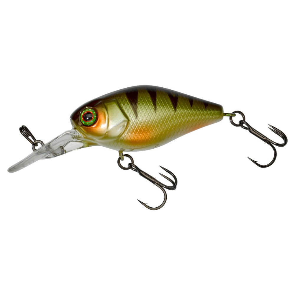 Jackall Chubby 41 MR bei HechtundBarsch.ch