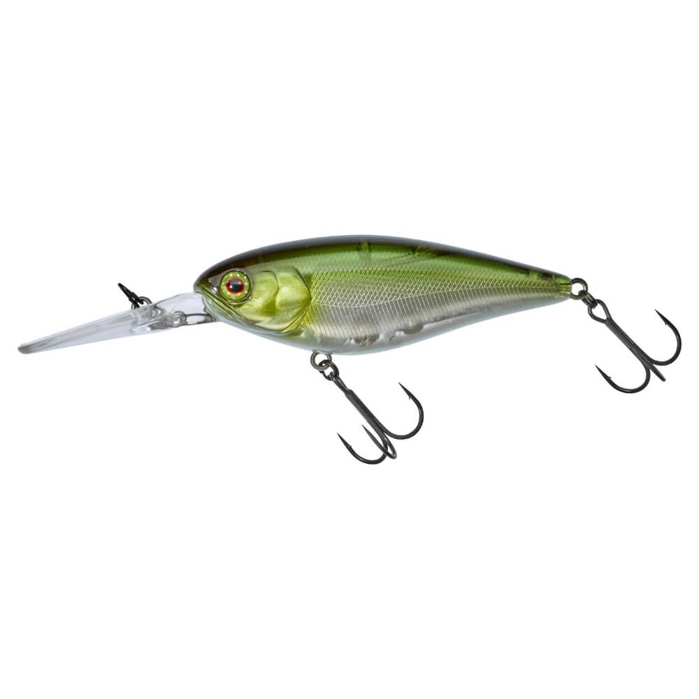 Jackall Flat DD Squirrel 79 SP bei HechtundBarsch.ch