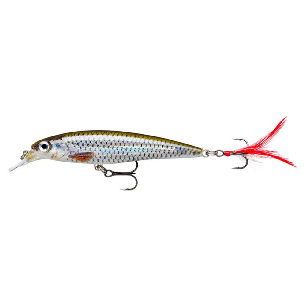 Rapala X Rap 10 cm Live Roach