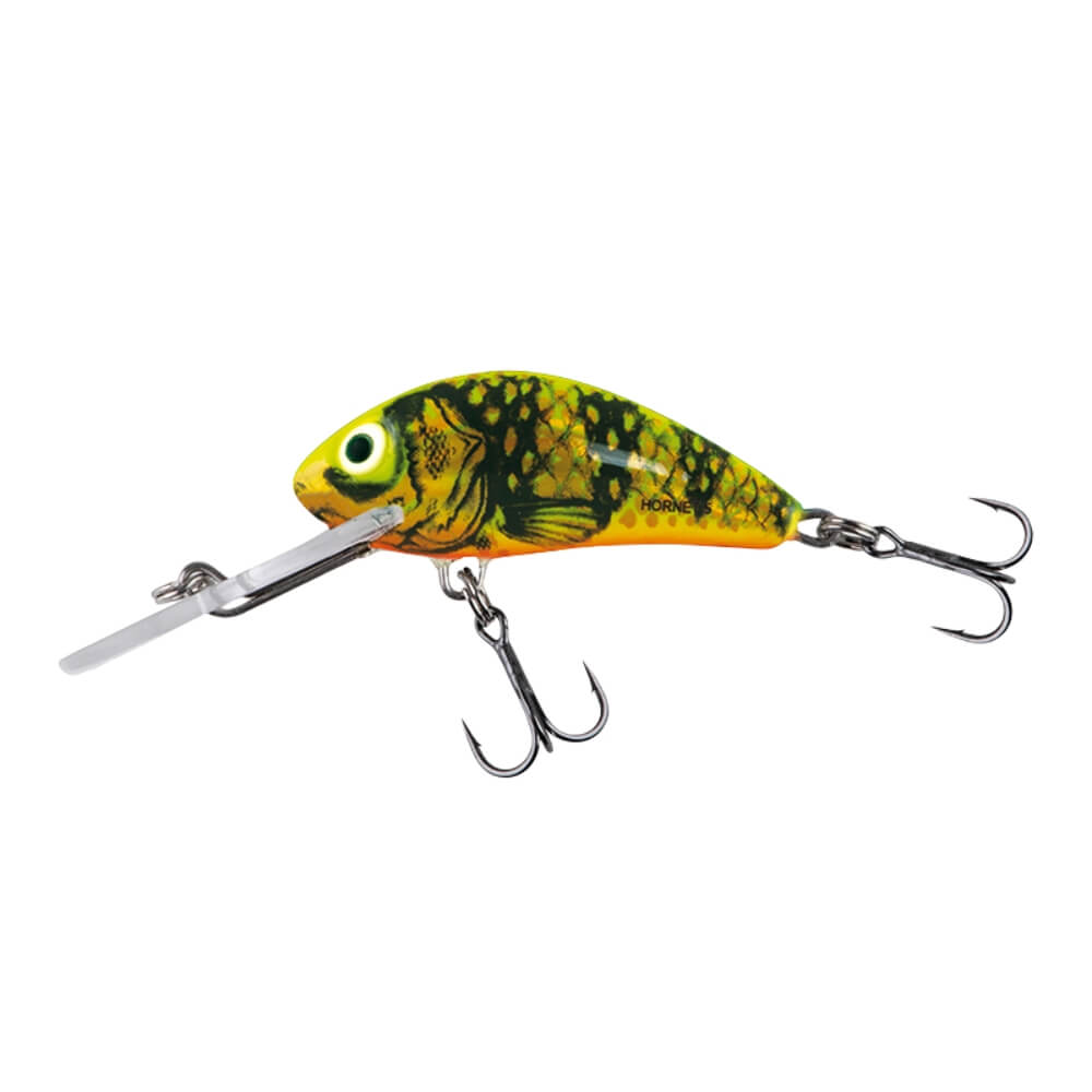 Salmo Hornet bei HechtundBarsch.ch