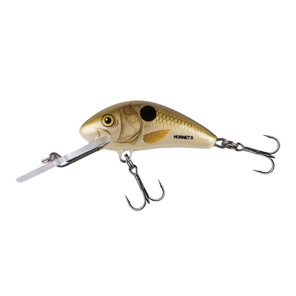 Salmo Hornet bei HechtundBarsch.ch
