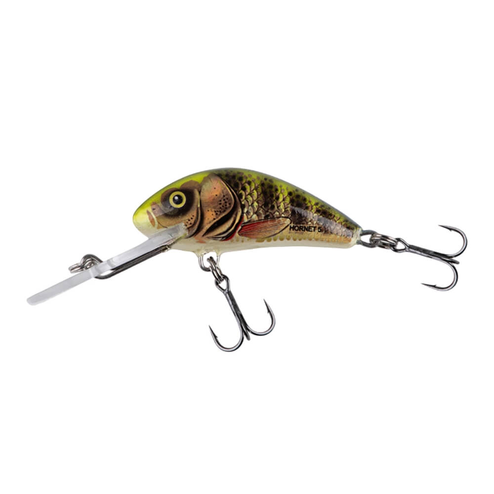 Salmo Hornet bei HechtundBarsch.ch