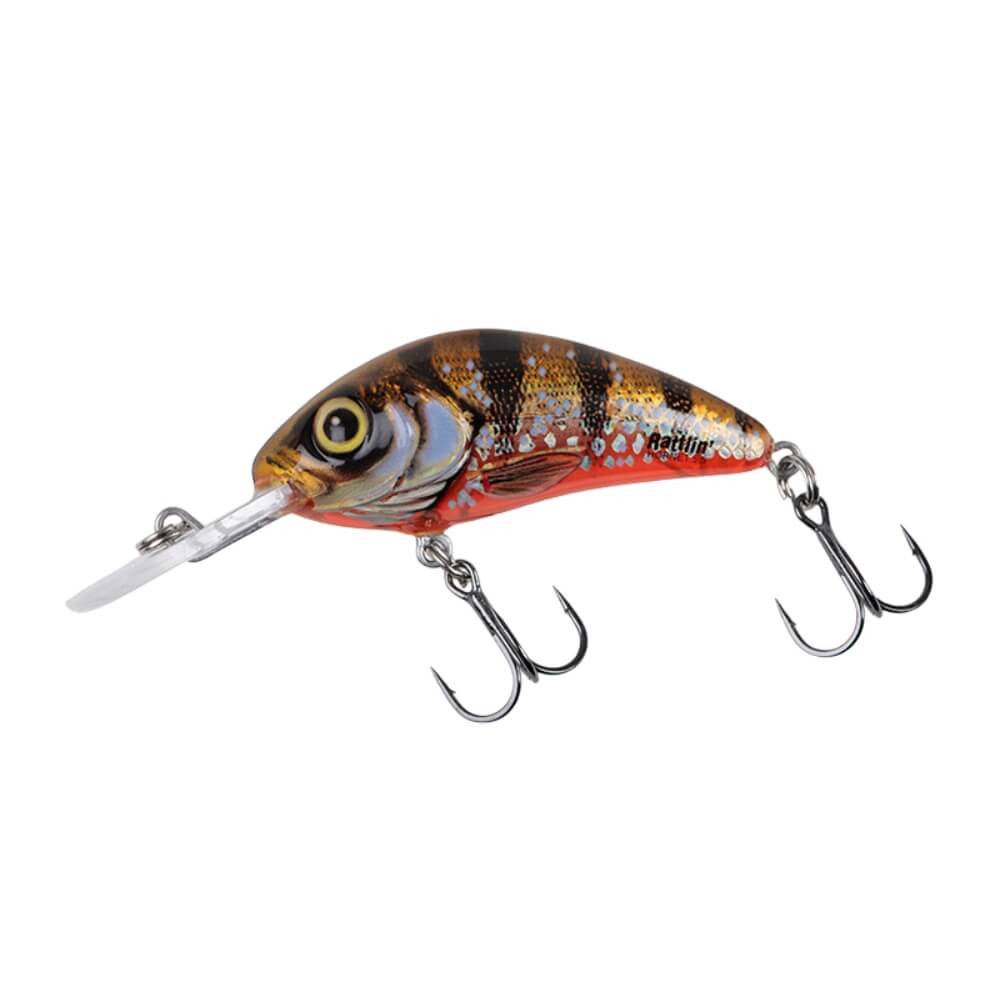 Salmo Rattlin' Hornet bei HechtundBarsch.ch