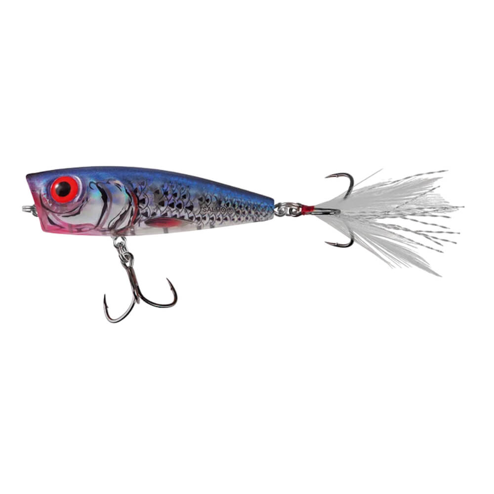 Salmo Rattlin' Pop bei HechtundBarsch.ch