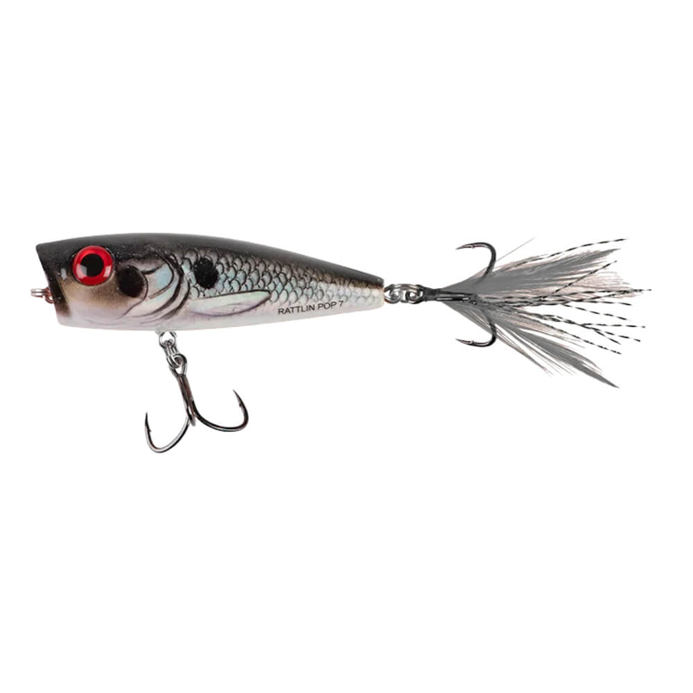 Salmo Rattlin' Pop bei HechtundBarsch.ch