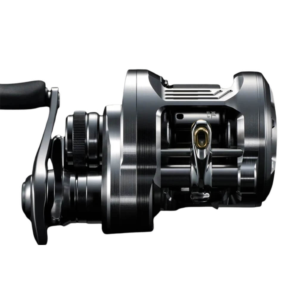 Shimano Calcutta Conquest DC A bei HechtundBarsch.ch