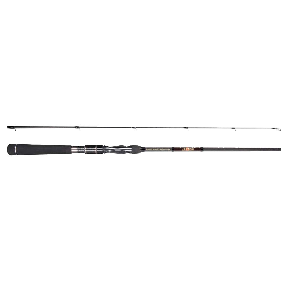 Tailwalk Del Sol SPII Spinning S802H 243 cm 10 60 g