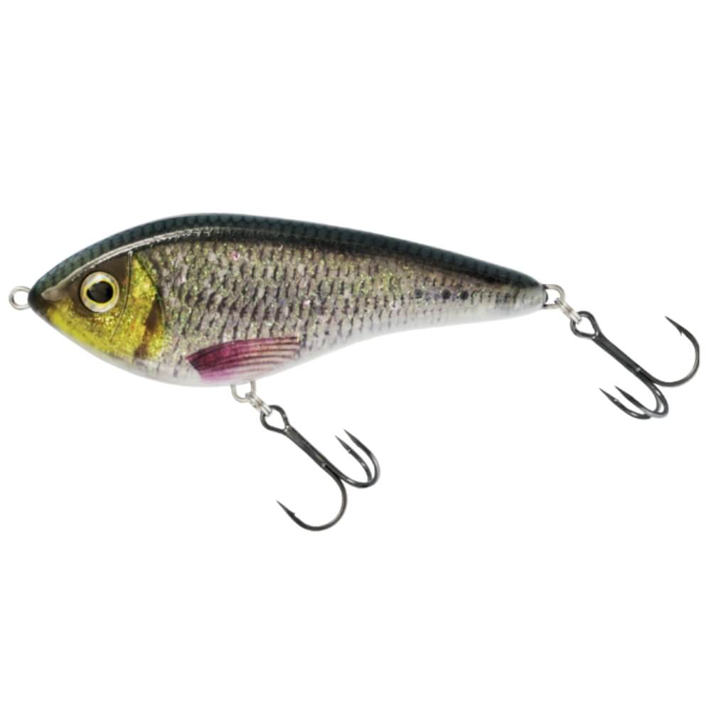 Westin Swim Glidebait Box Headlight Roach