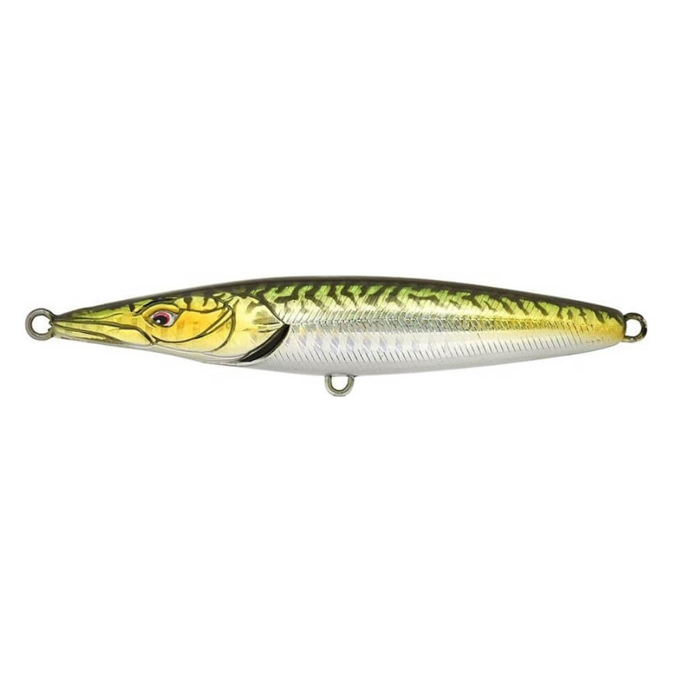 Xorus Asturie bei HechtundBarsch.ch