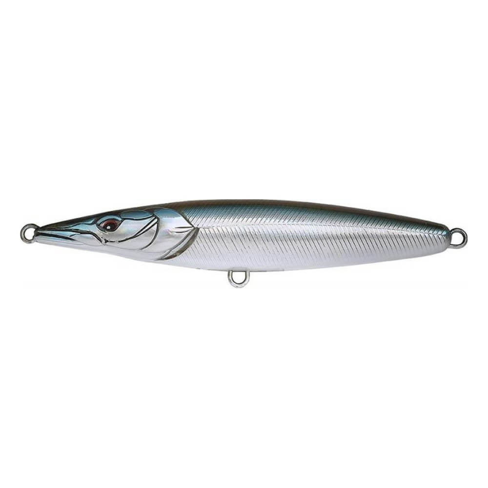 Xorus Asturie bei HechtundBarsch.ch