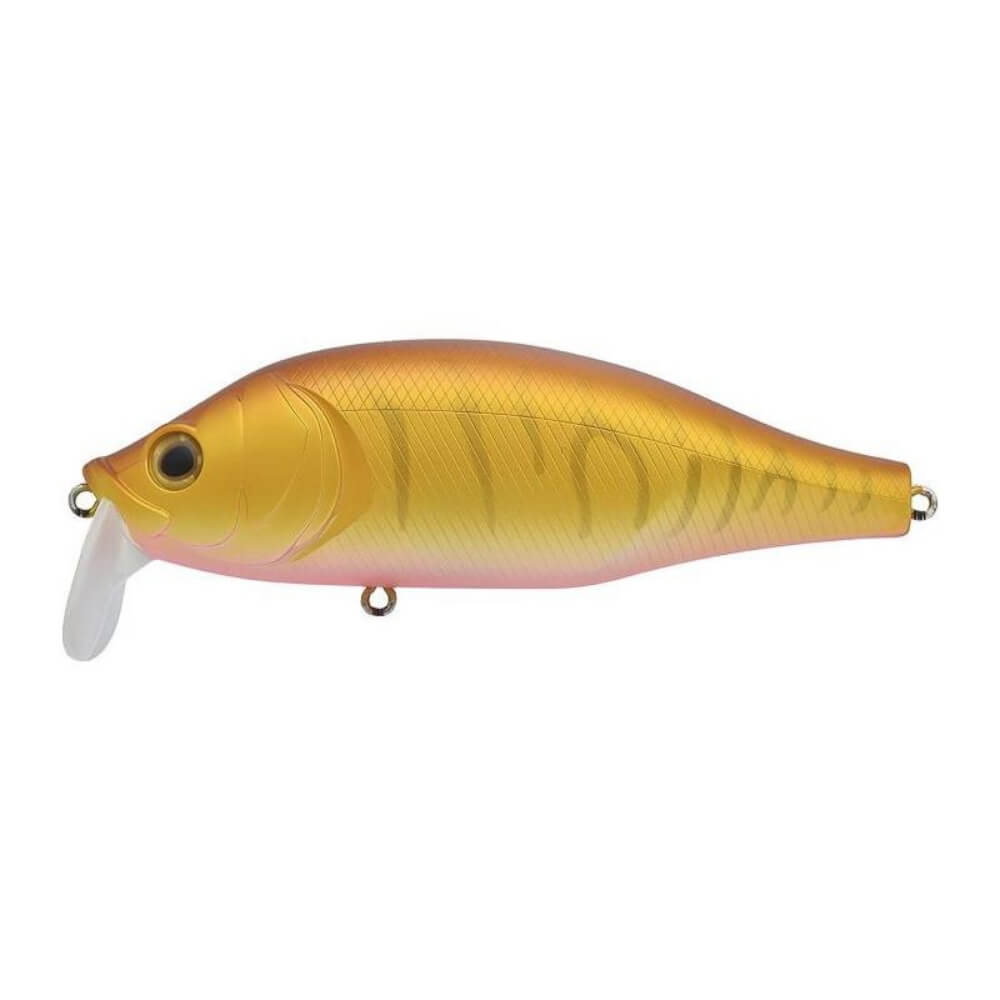 Xorus Dango 120 SR bei HechtundBarsch.ch