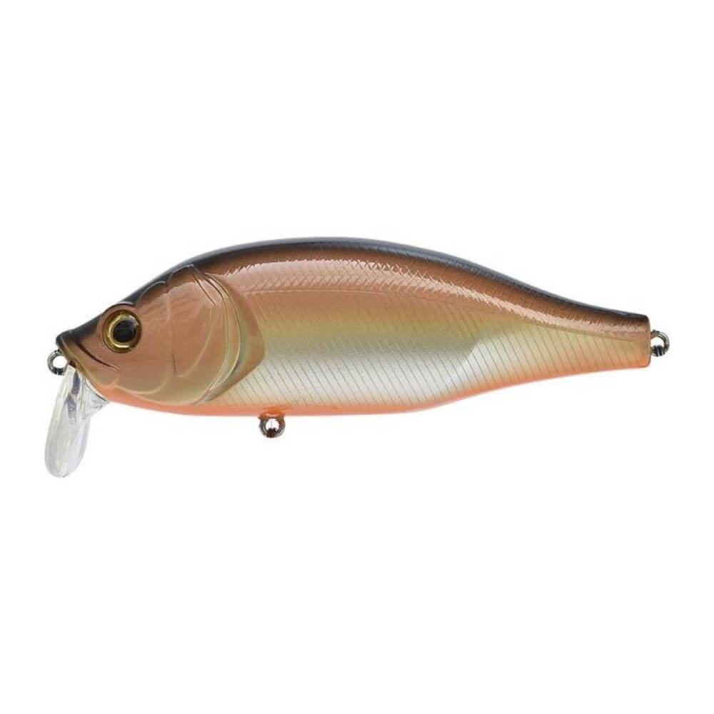 Xorus Dango 120 SR bei HechtundBarsch.ch
