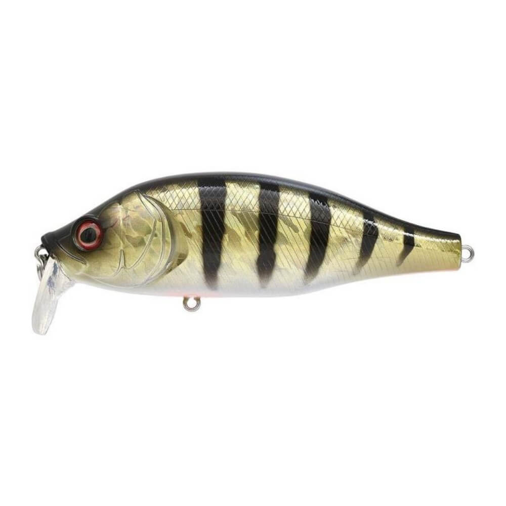 Xorus Dango 120 SR bei HechtundBarsch.ch