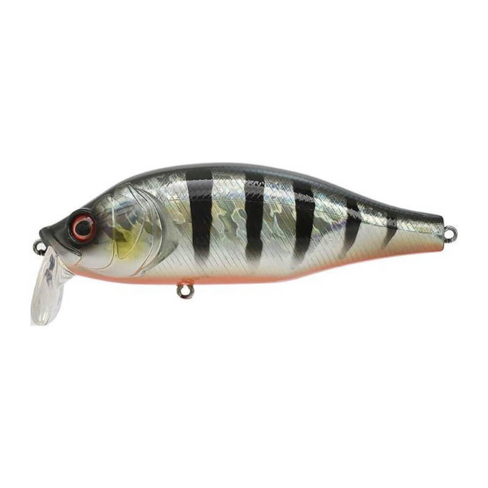Xorus Dango 120 SR bei HechtundBarsch.ch