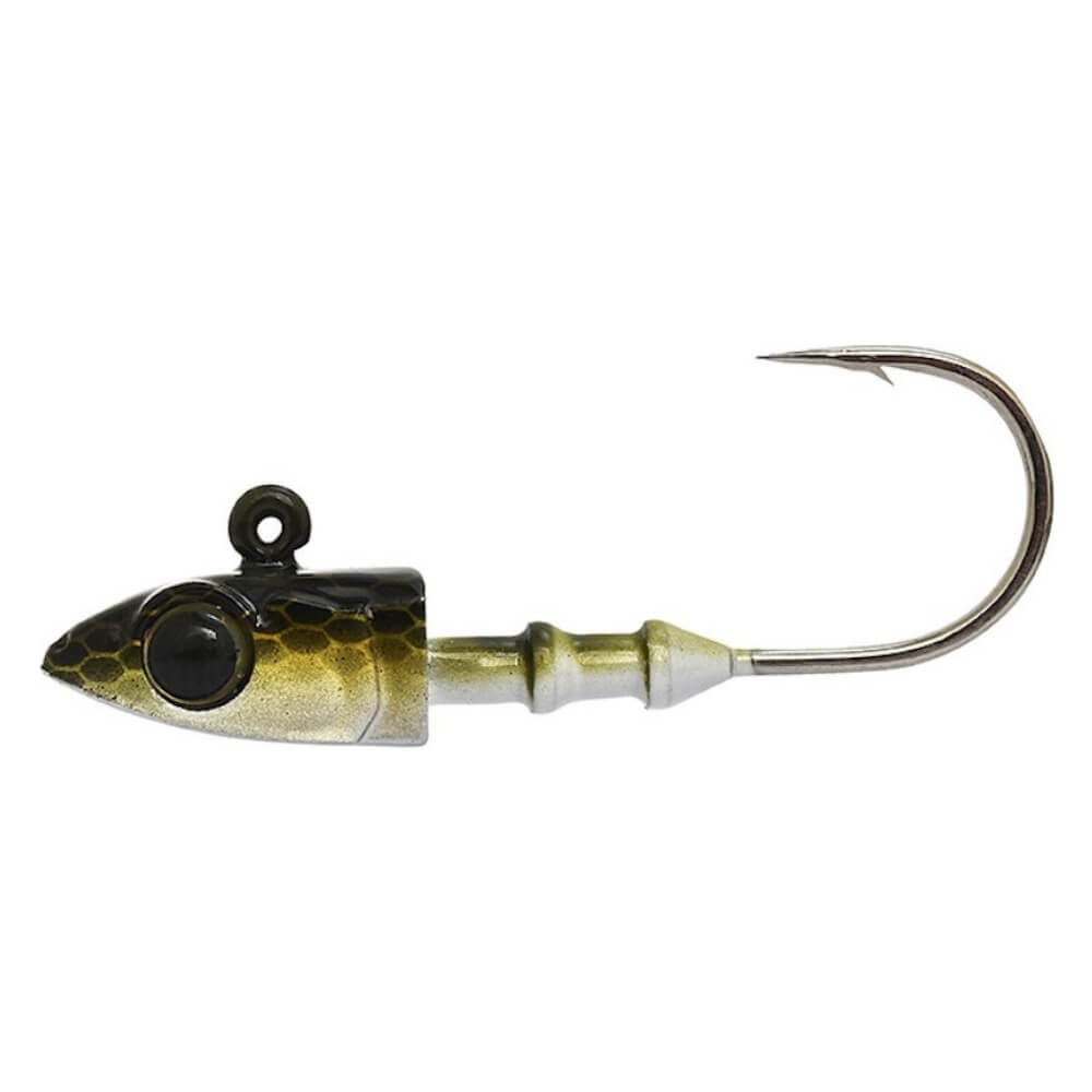 Xorus Ultimate Eel Evo bei HechtundBarsch.ch