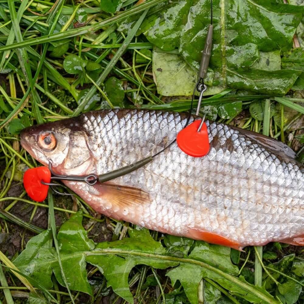 Zeck DB Bait Flag Beispiel