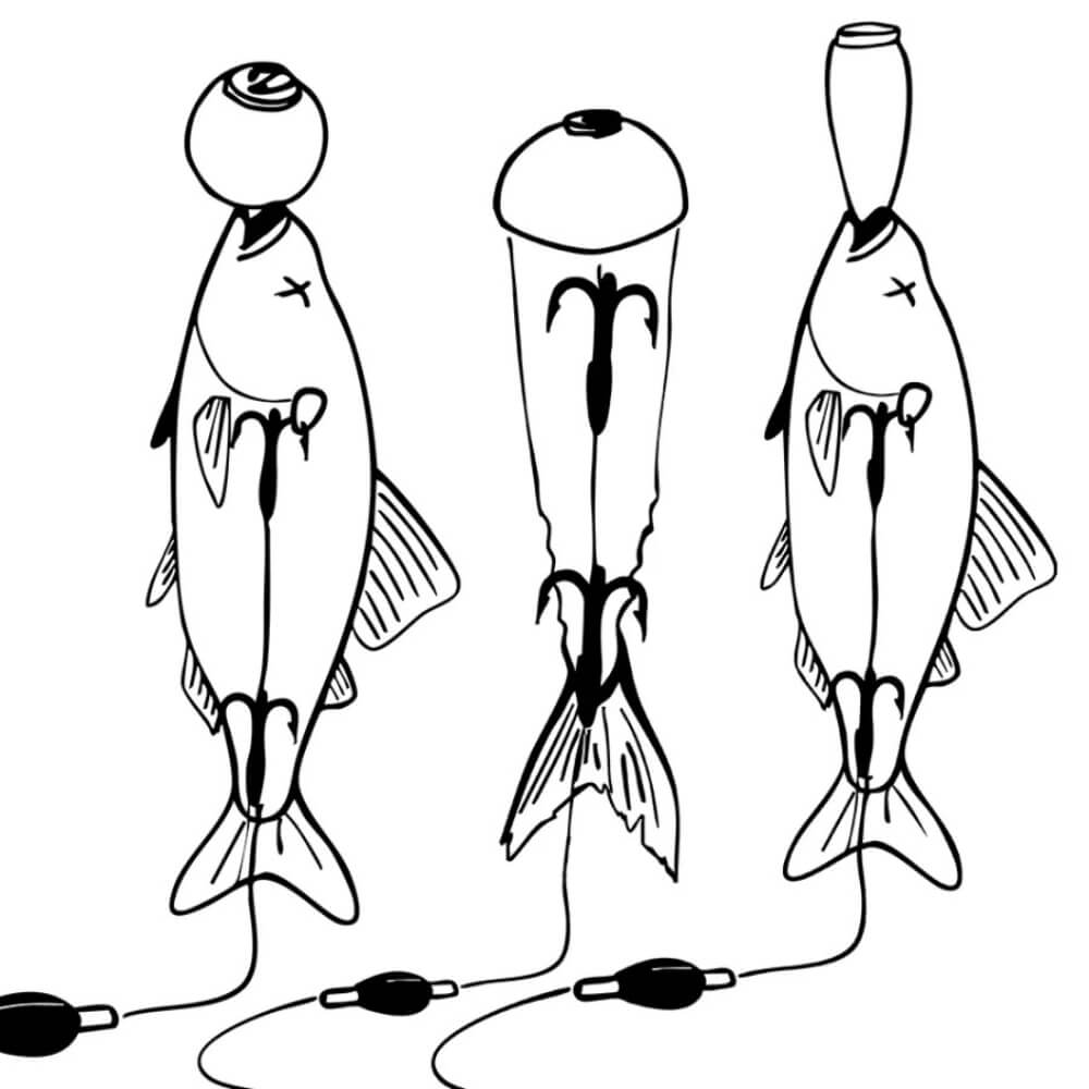 Zeck DB Pop Up Kit Skizze Anwendung